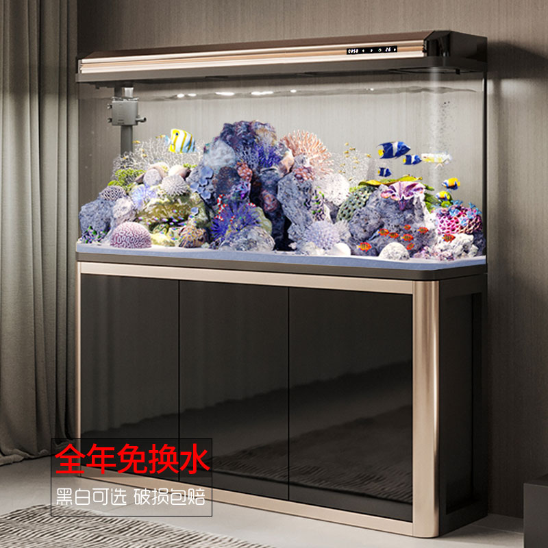 客厅鱼缸免换水水族箱中型创意超白玻璃金鱼缸2024新款家用养鱼缸