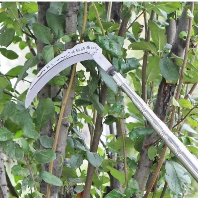 摘菠萝蜜a神器伸缩杆摘果枝锯钩子不锈钢采摘杆多功能割树枝核桃