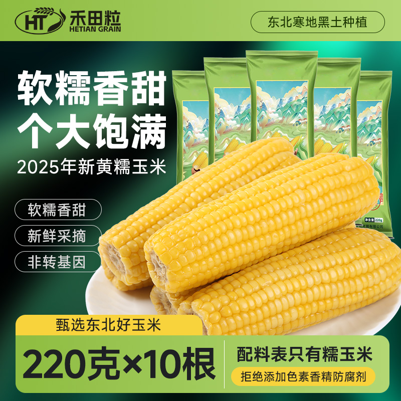 2025东北黄糯玉米真空装个大香糯