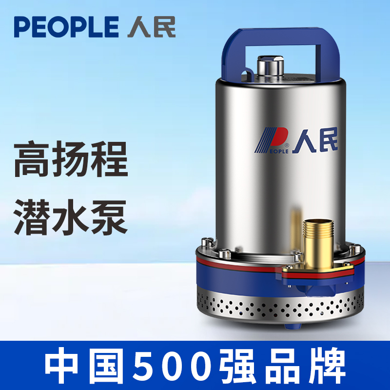 人民直流潜水泵24V48V60V72V家用农用电动车抽水泵小型抽水浇菜机