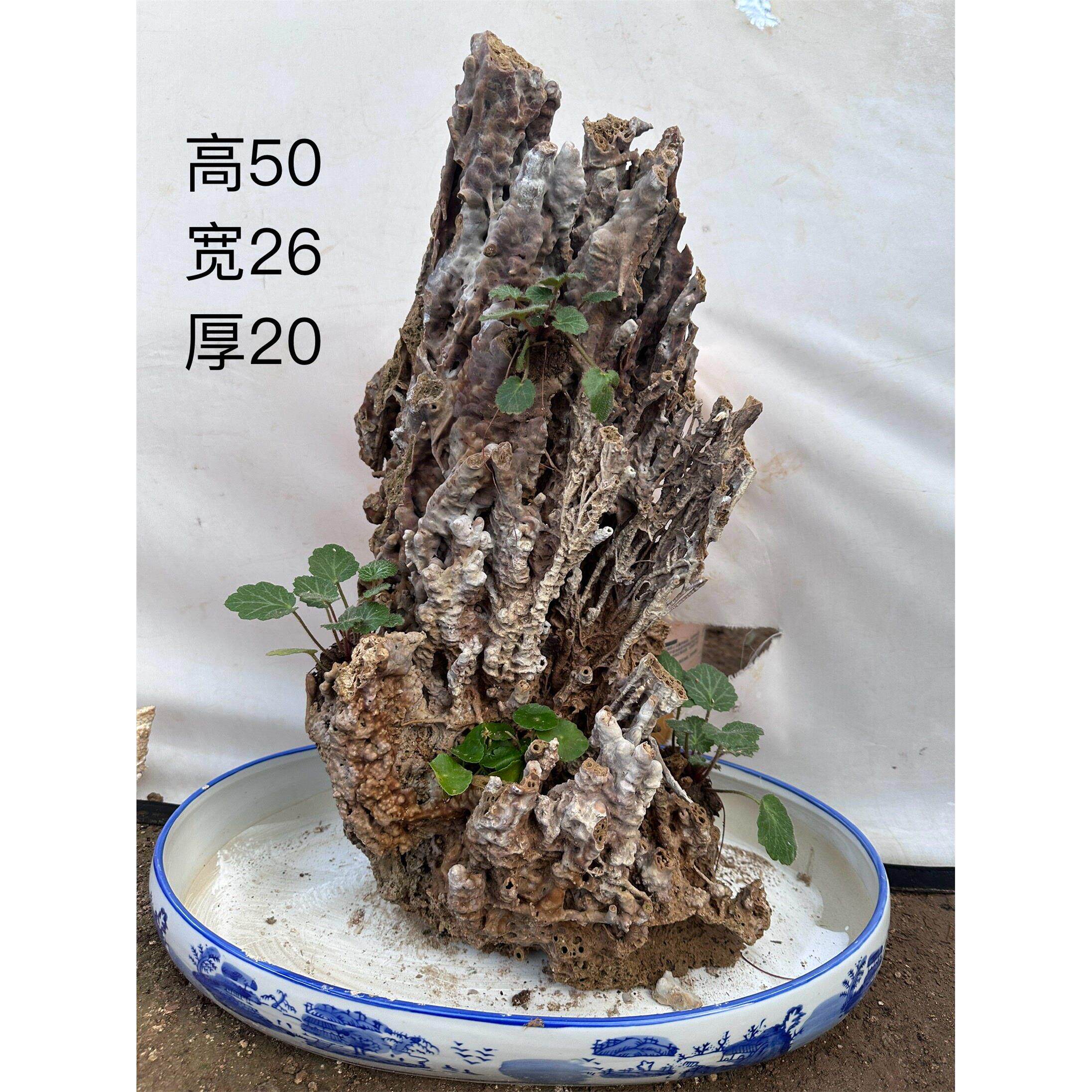 纯天然上水石钟乳石吸水石假山盆景鱼缸造景石天然芦管石