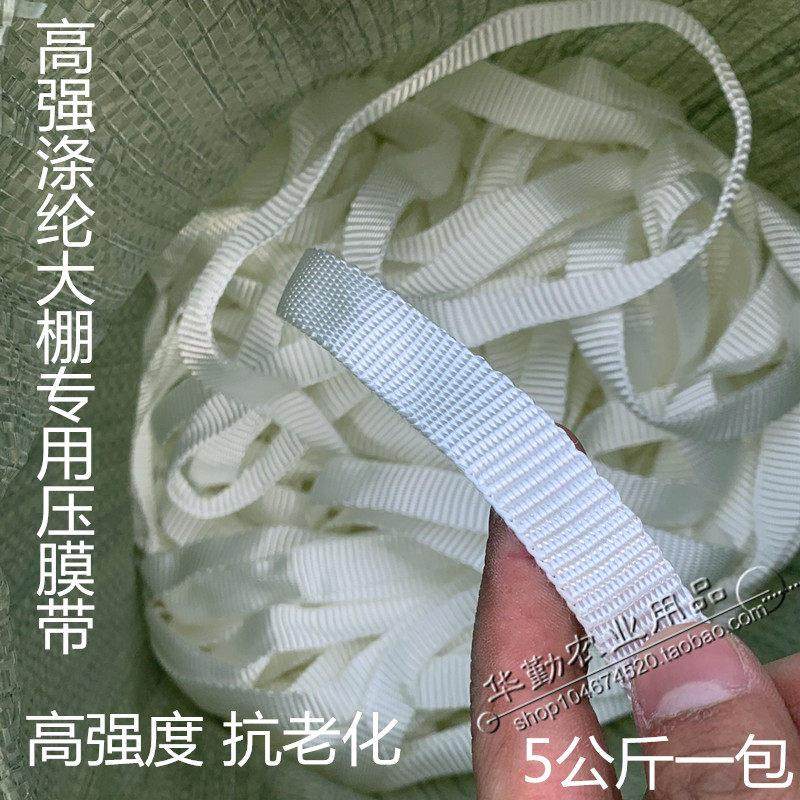 包邮大棚压膜带高强度抗晒抗老化压膜带涤纶压膜线温室专用压膜绳,农机/农具/农膜,大棚压膜绳/压膜线,淘宝优惠券,粉丝福利购,淘宝优惠卷