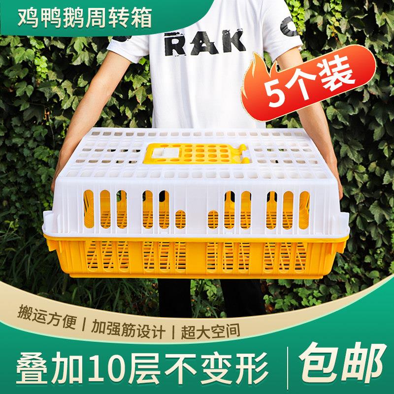 鸡笼塑料周转箱成鸡鸭鹅运输筐加厚大尺码鸡笼鸡鸭鹅鸽笼周转运输