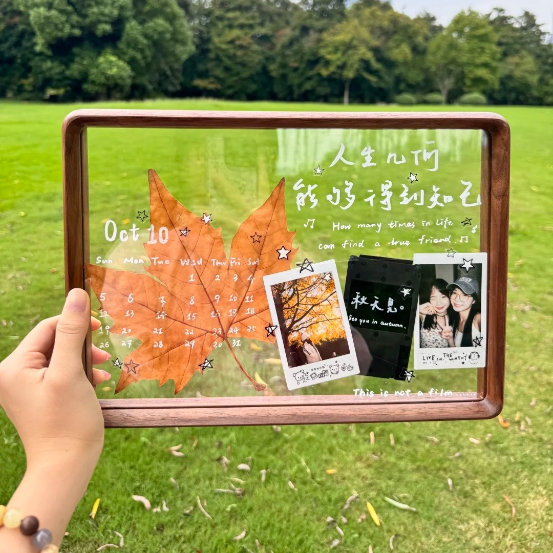 实木透明磁吸相框双面手工diy