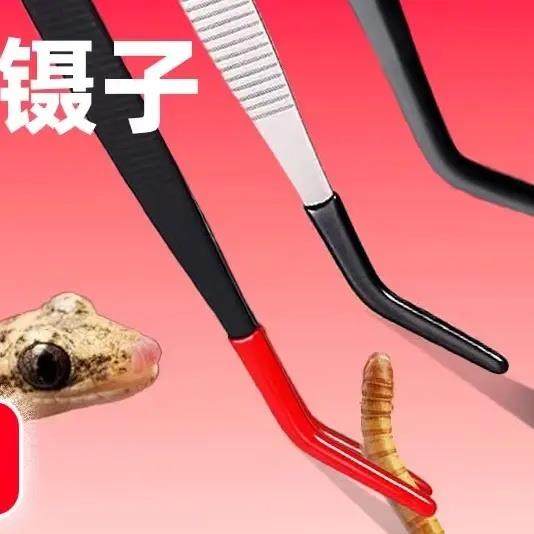 乌龟爬宠守宫角蛙龙鱼喂食镊子宠物硅胶喂食夹子加长不锈钢喂食器,婴童用品,清洁镊子,淘宝优惠券,粉丝福利购,淘宝优惠卷