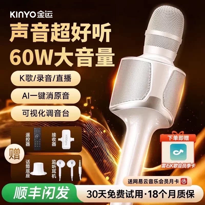 专业级k歌声卡话筒N0.1图片