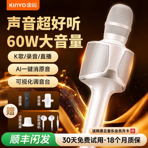 专业级k歌声卡话筒N0.1