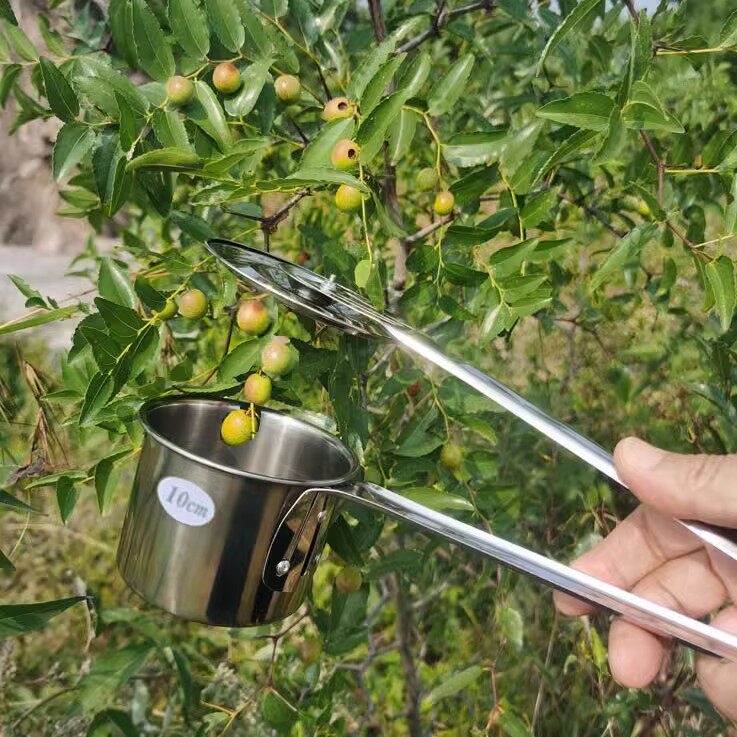 热销加厚不锈钢新款摘酸枣神器工具采摘山枣子专用摘水果枸杞小枣