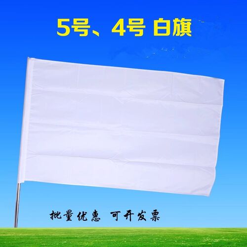 热销纯白不印字 绘画白旗 旗帜定做 彩旗 班旗校旗导游旗订做广告