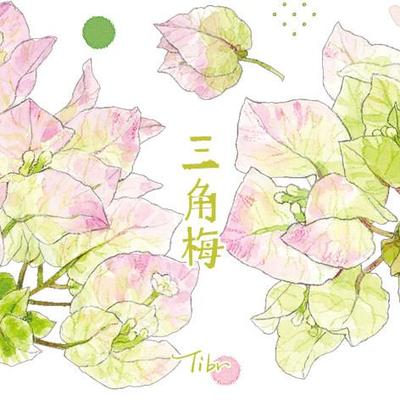 基研所 三角梅纸胶带 和纸/PET胶带 10米卷