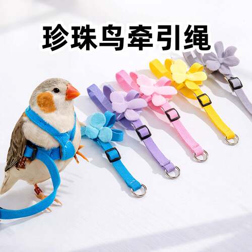 珍珠鸟牵引绳衣服遛鸟神器飞行小号超轻可调节防挣脱外出专用背带