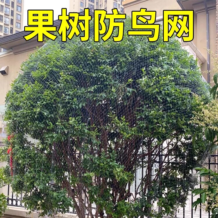 果树防鸟用的网农用防鸟丝网果园天网嘉宝果树防鸟罩子阳台防鸟网