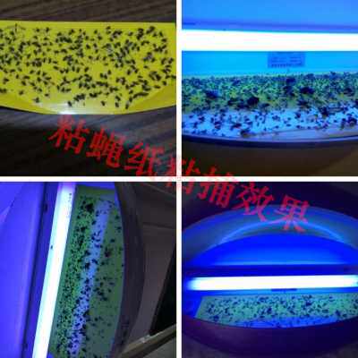 灭蝇灯餐厅饭店用商铺灭蝇神器酒店家商用食品厂壁挂粘捕式灭蚊灯