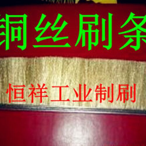 导电刷,铜丝刷,铜丝条刷,铜丝毛刷条,规格长300X10X50X8丝