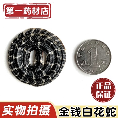 金钱白花蛇中药材正品金钱白花蛇银环蛇幼蛇正宗金钱白花蛇中药材
