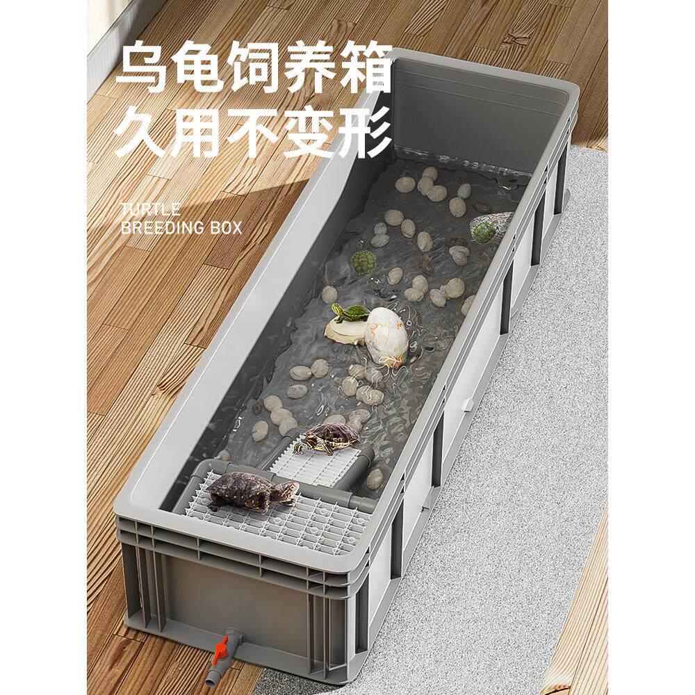 水缸水草疯狂乌龟饲养龟缸周转箱养龟专用塑料龟箱家用生态混养排