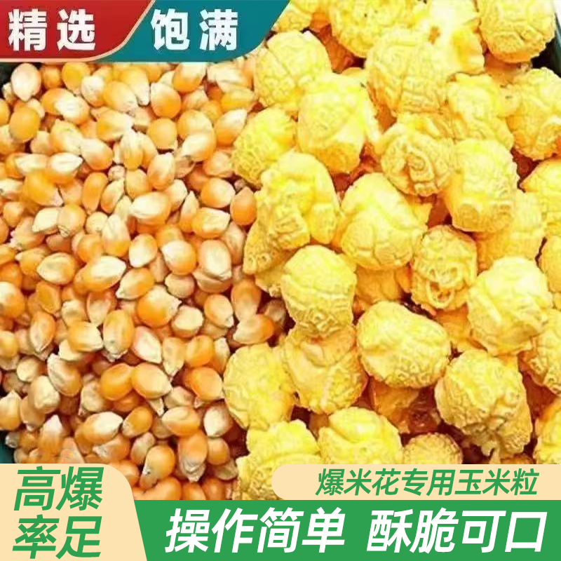 影院爆米花专用玉米粒自做球形爆米花原料颗粒饱满高爆率易爆开