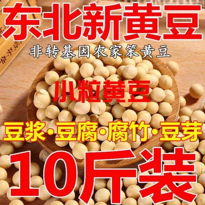 黑龙江非转基因黄豆发豆芽打豆浆2斤东北新鲜黄豆10斤包邮5斤