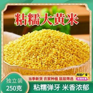 正宗东北大黄米新米250g粘糯包粽子黄米凉糕农家粗粮杂粮非真空