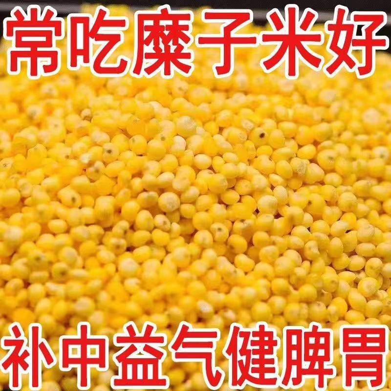 新货高品质】陕北糜子米5装硬大黄米新稷子米正宗稷米新鲜黄小米