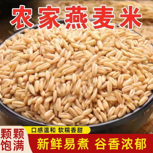 东北正宗新鲜燕麦米燕麦仁燕麦批发粗粮饱腹抗饿营养丰富颗颗饱满