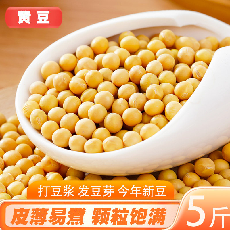 黄豆颗粒饱满豆香浓郁色泽黄润鲜亮豆浆口感细腻皮薄渣少味香浓郁