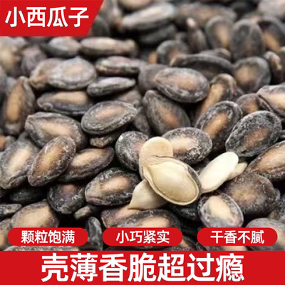 奶油椒盐味小西瓜子休闲解馋零食炒货壳薄易嗑营养美味颗粒饱满