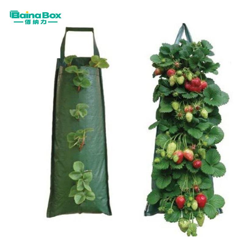 厂家供应创意款4/6/10口悬挂式PE草莓袋香草植树袋园艺种植袋