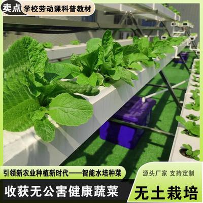 NFT无土栽培蔬菜草莓种植半A字架水培设备阳台管道种菜机学校科普