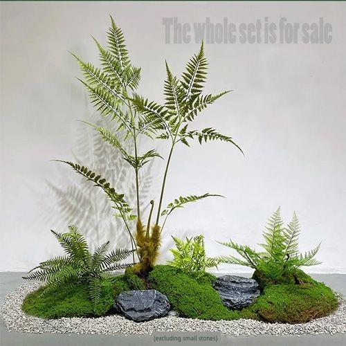 彷真金丝蕨植物蕨树彷生蕨草盆栽假绿植彷真猴头厥波斯草装饰造景