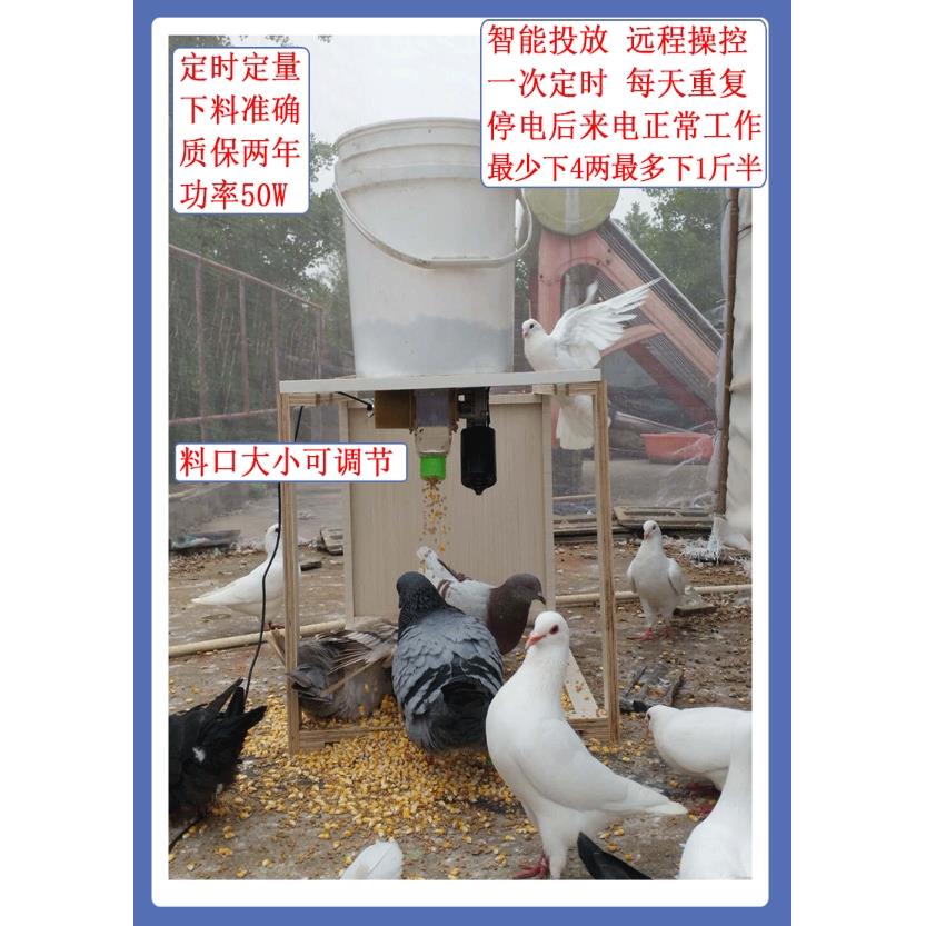 信鸽观赏鸽养鸡鸭鹅全自动喂食器散养食槽喂料机盒定时远程喂料盒