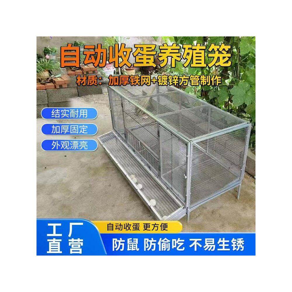 鸡笼家用室内室外铁丝网大号防雨防黄鼠狼下蛋笼自动滚蛋笼养殖笼