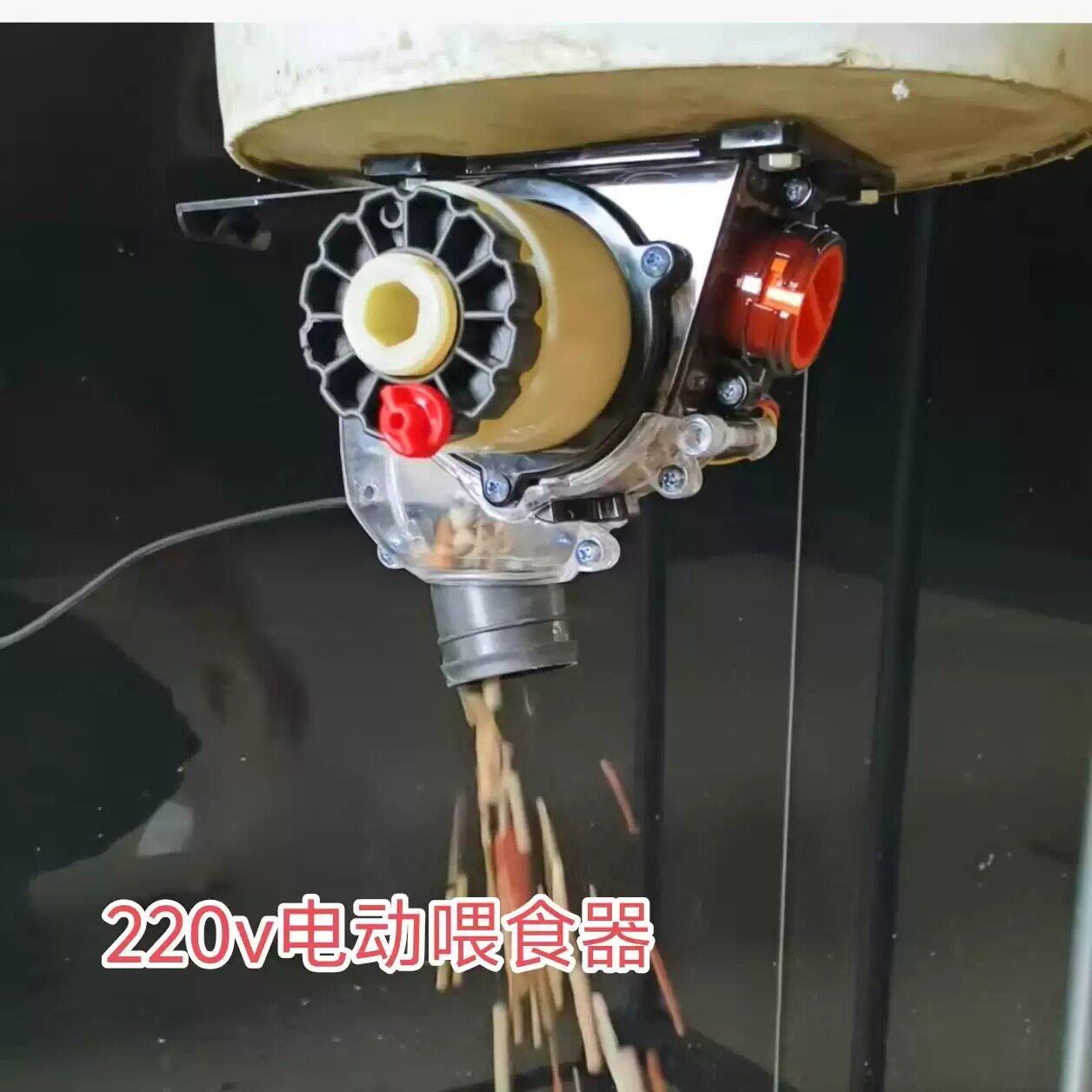 电动下料机鸽子鸡鸭鹅宠物电动喂食器220V耐腐蚀易清理