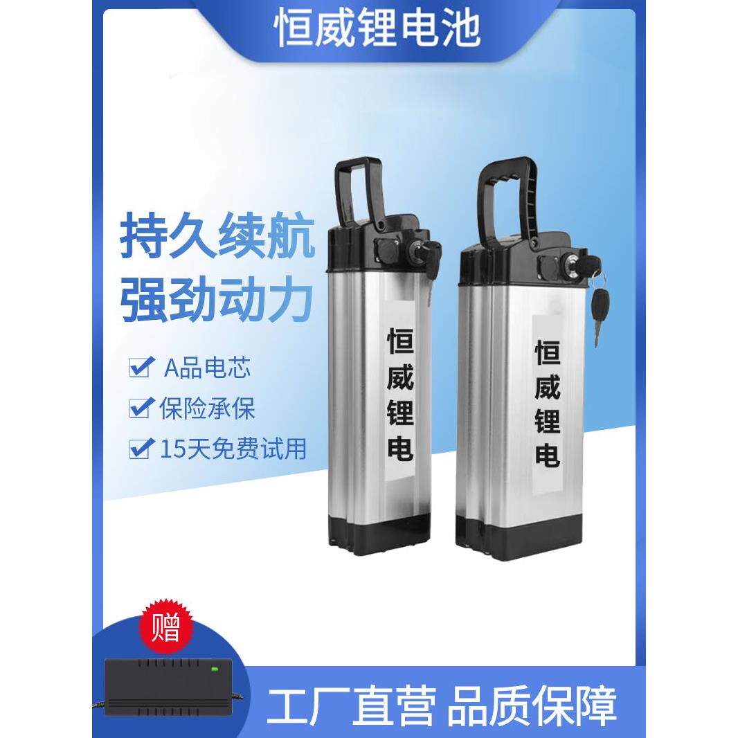 折叠电动自行车48v锂电池30ah代驾通用大容量银鱼海霸带提手电瓶