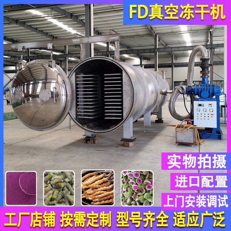 冻干机设备 果蔬药材真空冷冻干燥机 发酵菌咖啡脱水冻干粉设备