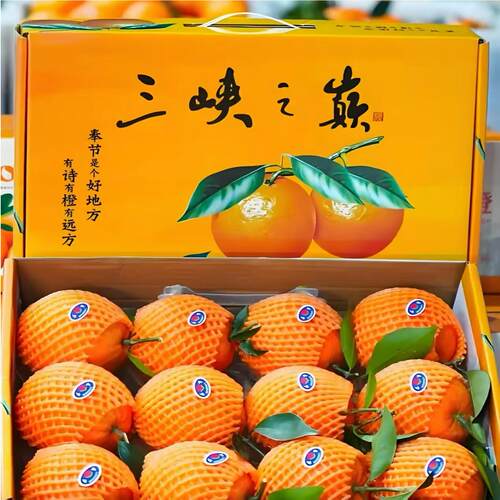【精品礼盒】橙子正宗重庆奉节脐橙当季新鲜水果送礼超甜产地直发