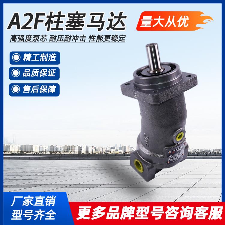 力士乐华德斜轴柱塞泵A2F10/12/55/80/107/160R2P3高转速液压马达