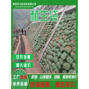 绿化护坡植生袋生态边坡防护河道防汛编织网袋草籽种植框架梁装土