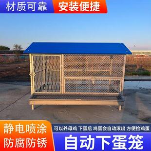 尖顶养殖笼鸡鸭兔笼防黄鼠狼防鼠蛇不生锈户外养鸡棚养鸡笼子家用