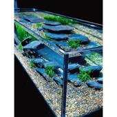 工业风溪流缸鱼缸全套底滤造景超白玻璃原生态大型草缸2025年新款