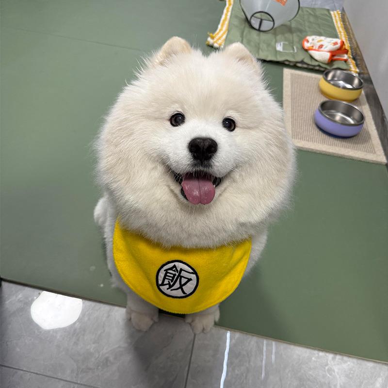 狗狗口水巾宠物围脖配饰小狗围兜大型犬围嘴巾装饰2025新款萨摩耶