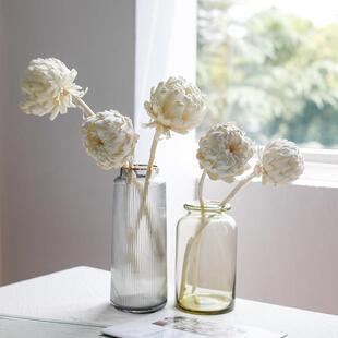 进口南非帝王花干 干燥花白色ins真花玄关装饰客厅花艺高级永生花