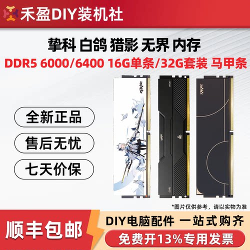 挚科 猎影 无界白鸽 巨浪  D5 6000 C28  16G 32G套 台式电脑内存