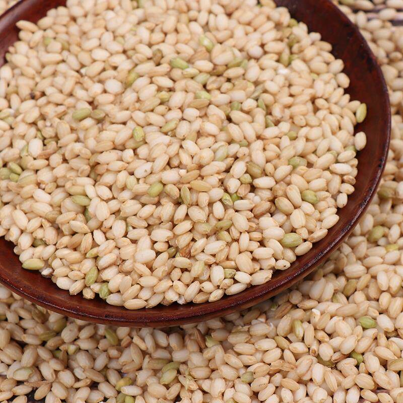 糙糯米1000g 东北粘糙米 酒酿米 新糙白糯米胚芽糙米杂粮带皮江米
