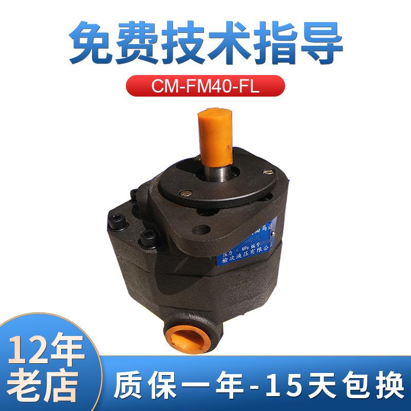 CM-FM系列14Mpa齿轮式液压马达CM-FM40-FL齿轮马达