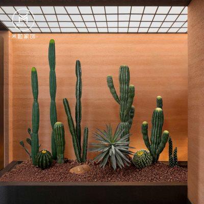 大型仙人掌植物造景仿真沙生植物景观室内假绿植楼梯下橱窗装饰