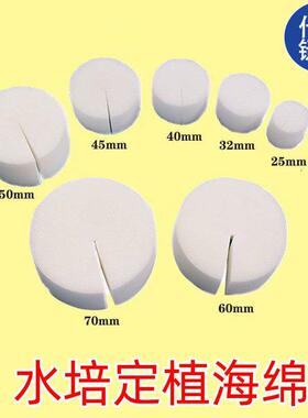 无土栽培定植棉蔬菜固定海绵水培菜吸水海绵种菜固根大棚种菜海绵