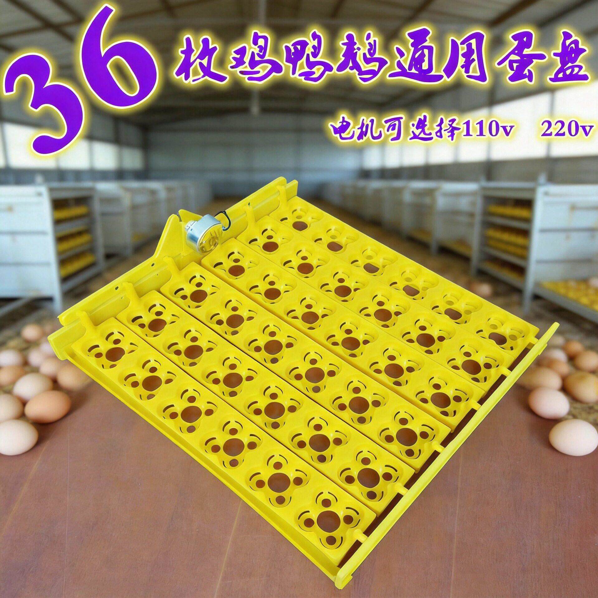 家用塑料蛋盘 孵蛋器48枚翻蛋电机鸡鸭鹅迷你24枚蛋窝小型孵化机