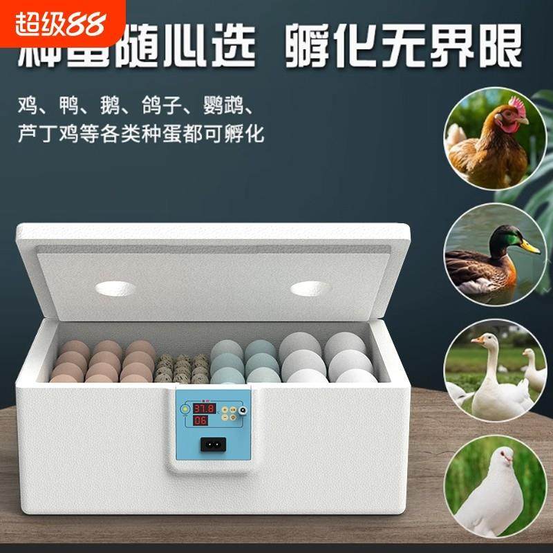 小鸡孵化器小型家用全自动智能孵蛋器迷你水床孵化机芦丁鸡孵化箱,五金/工具,电热工具,淘宝优惠券,粉丝福利购,淘宝优惠卷