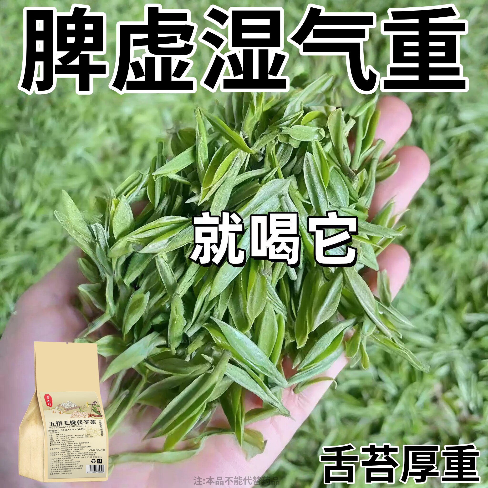 健脾祛湿调理脾胃去体内湿气热寒湿养生茶茯苓养胃除湿疏肝去湿气